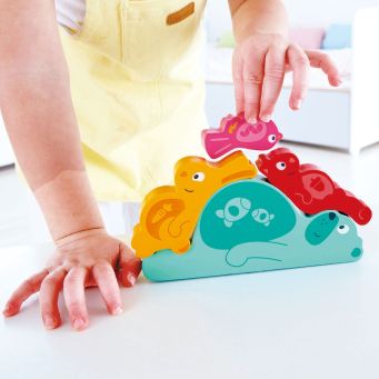 Blocks Sorting & Stacking Toys