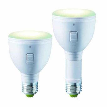 5000597-Eclairage Autonome (Lampes et Torches et Lampes Fronta