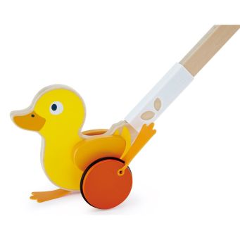 Push & Pull Toys